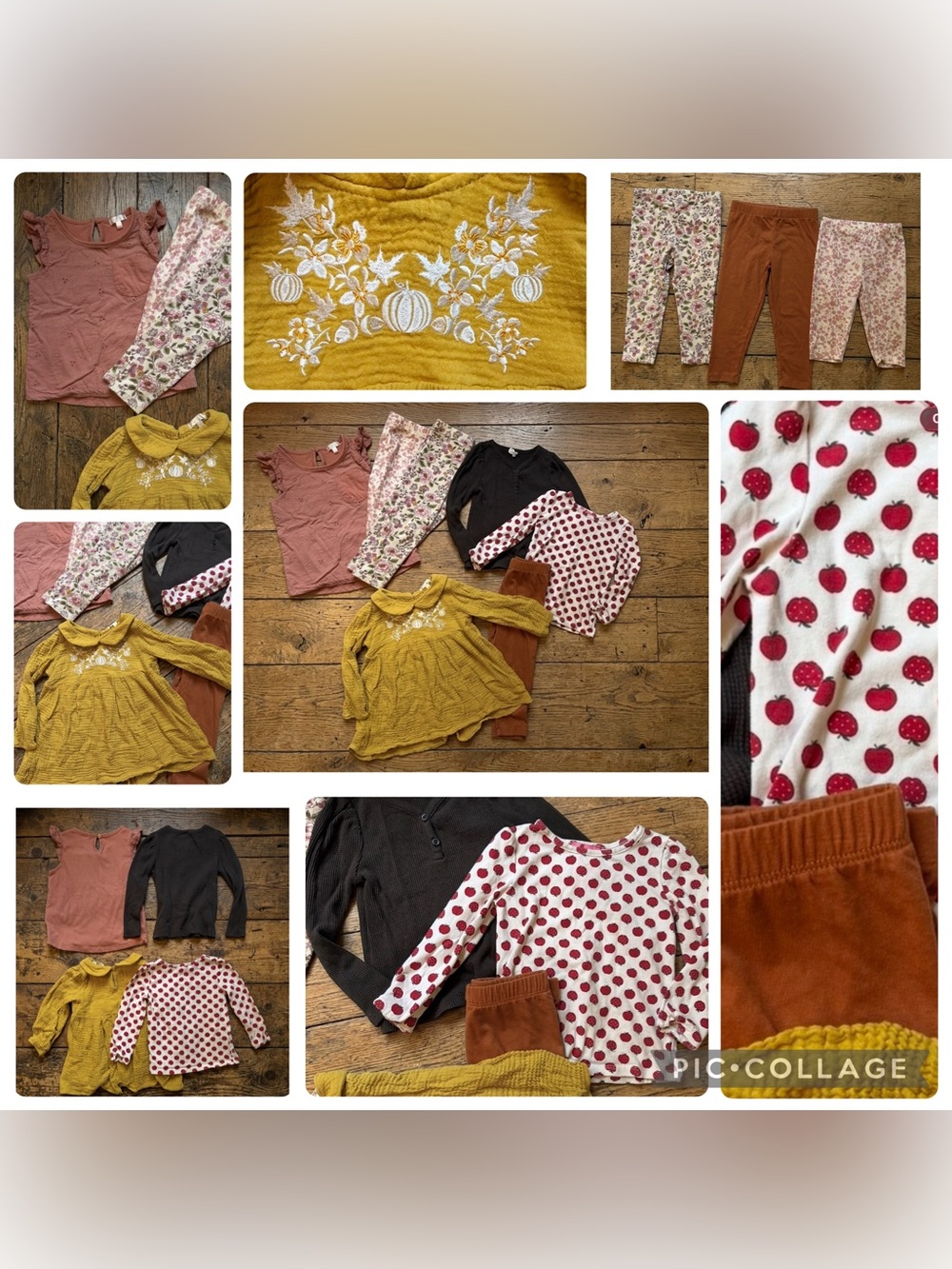 2T Girls Autumn Fall Bundle: Apple, Muslin Embroidered Pumpkin, Seasonal Chic